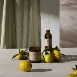 FUNCTIONALS Ipuro Citronella Raumduft -Ipuro Sale Store IFU1000 4 Raumduft