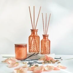 EXCLUSIVE Ipuro Fève Tonka Duftkerze -Ipuro Sale Store feve tonka Kollektion