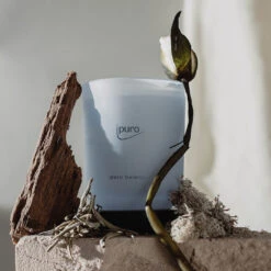 Ipuro Sale Store -Ipuro Sale Store ipuro balance Kerze f8906205 bc9a 46fe 87b7 dcb6b9899861